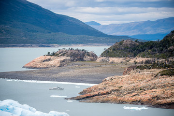 鲜花手抄报资料