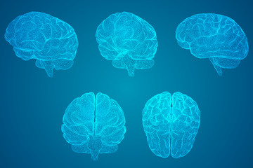 七年级英语上册课本单词含26个大写字母的单词表