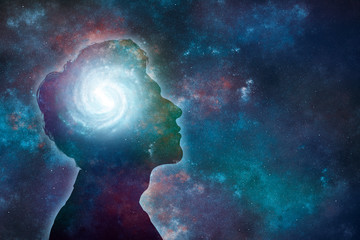 鲜花手抄报资料