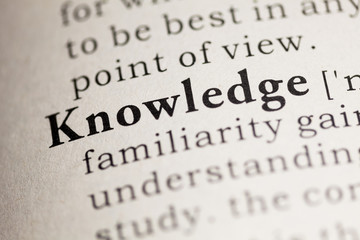 大海里都有哪些动物？