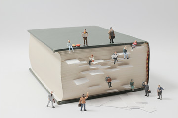 鲜花手抄报资料