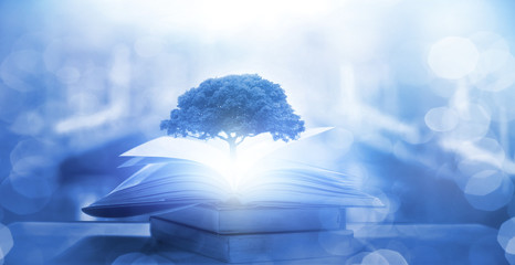 中医哲学：《黄帝内经》里的四大养生智慧