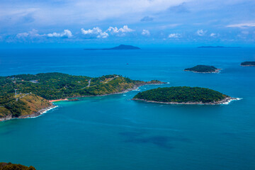 大海里都有哪些动物？