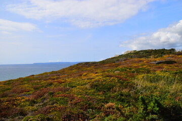 低碳环保小诗歌六句是什么？