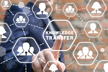 鲜花手抄报资料