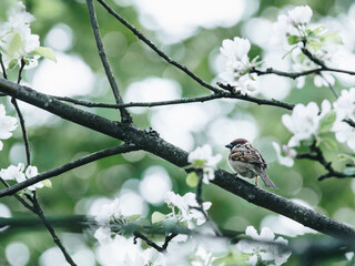 公安队伍建设的含义与任务有哪些