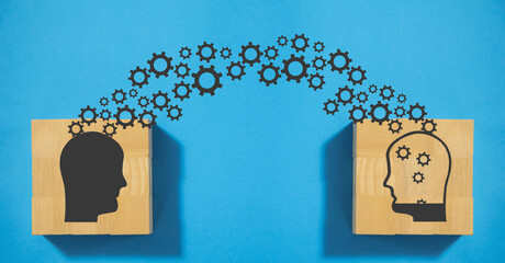 鲜花手抄报资料