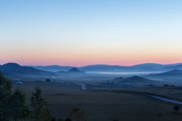 鲜花手抄报资料