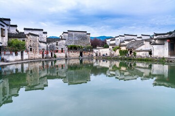 鲜花手抄报资料