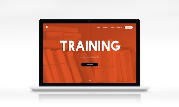 大海里都有哪些动物？