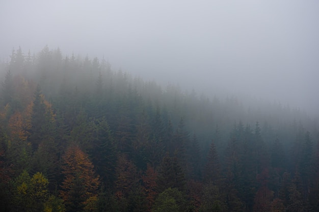 健康大讲堂主持人主持词大全