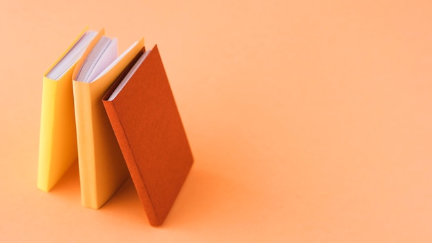 大海里都有哪些动物？