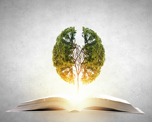 中医哲学：《黄帝内经》里的四大养生智慧