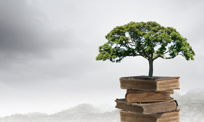 公安队伍建设的含义与任务有哪些