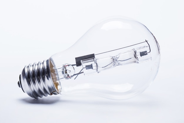 大海里都有哪些动物？