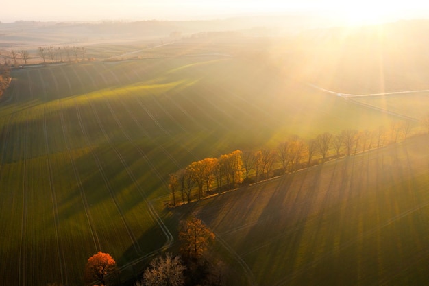 中医哲学：《黄帝内经》里的四大养生智慧